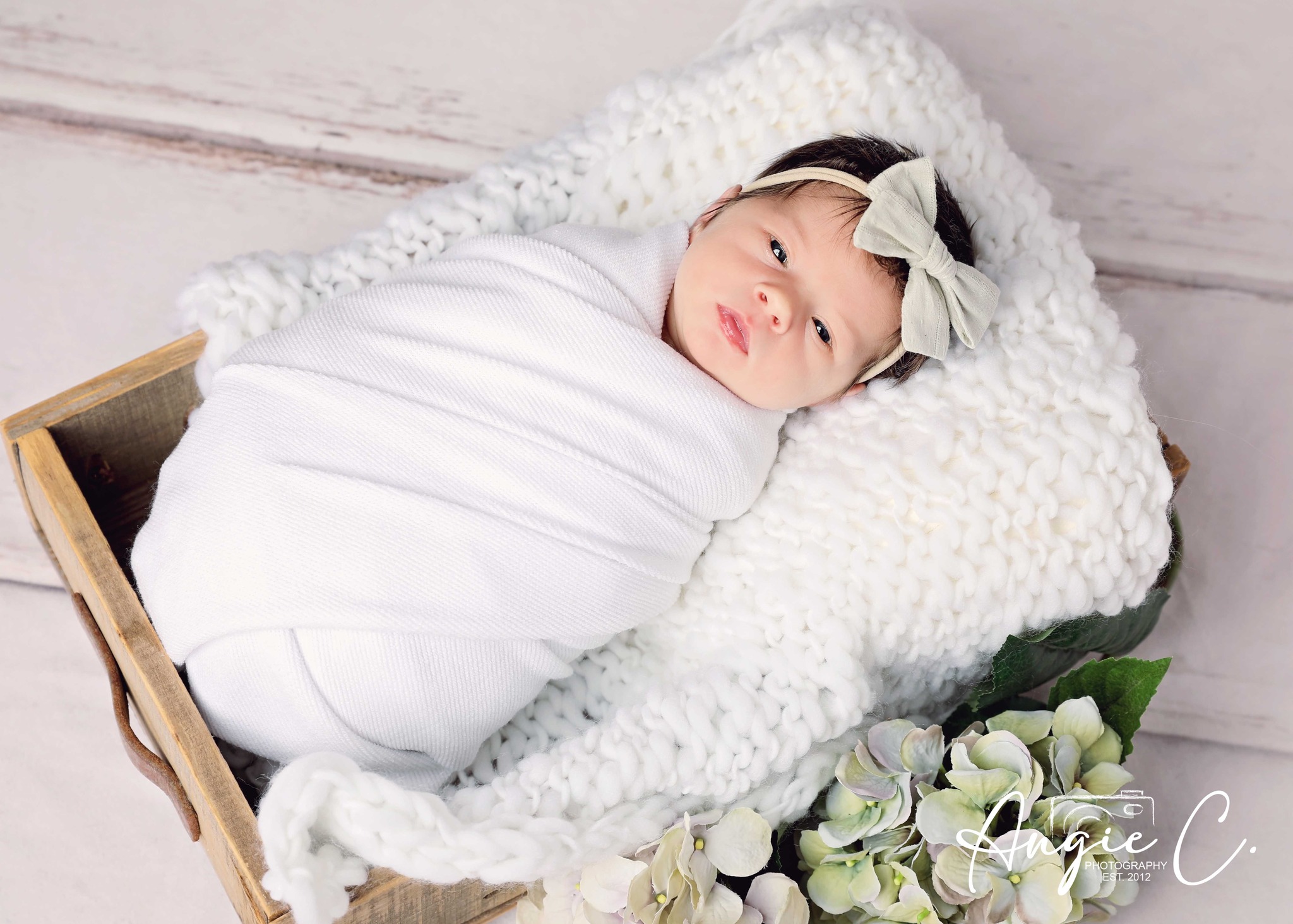 Family photography session 8