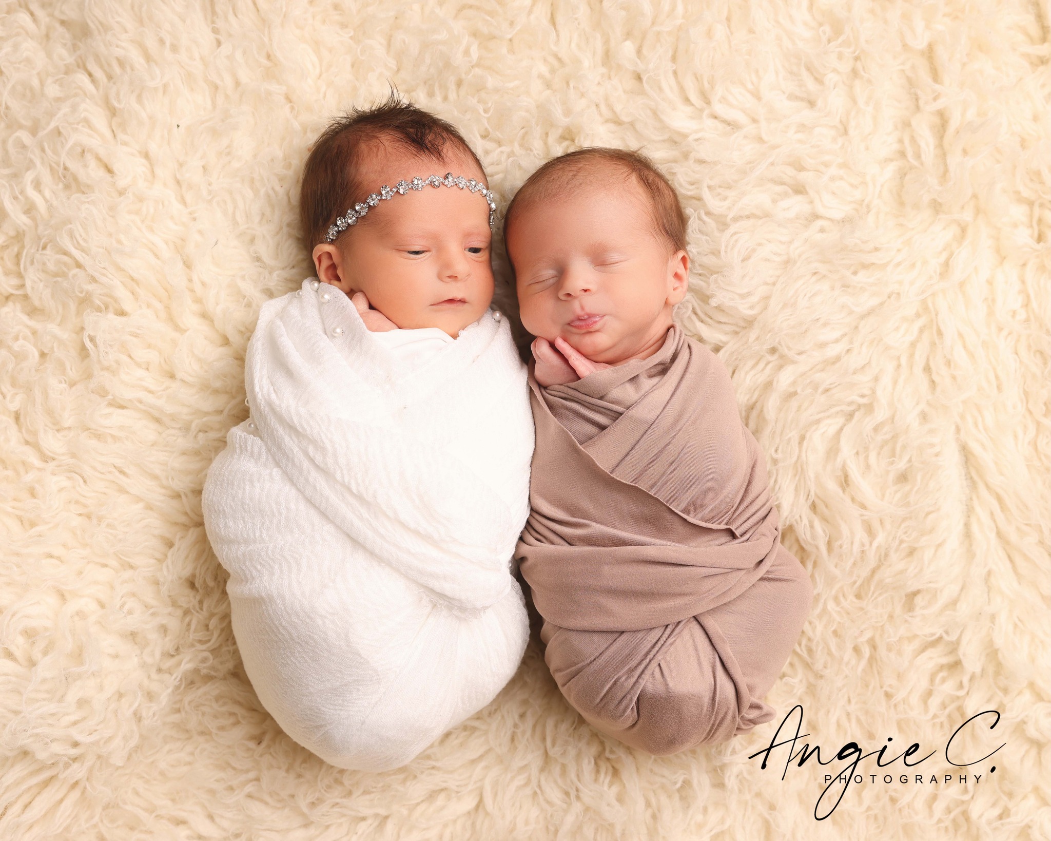 Mini session photography gallery