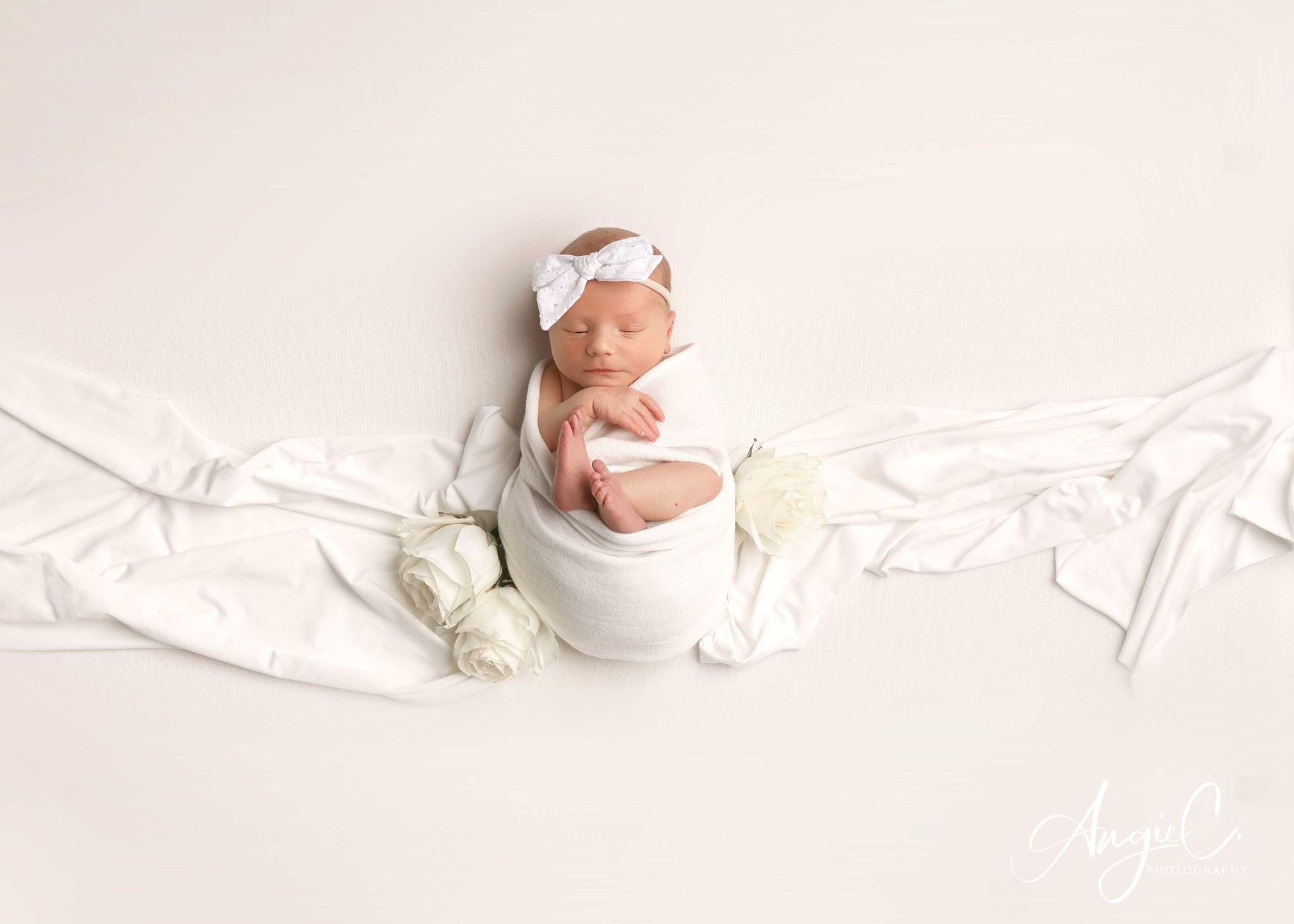 Seasonal mini session Central KY